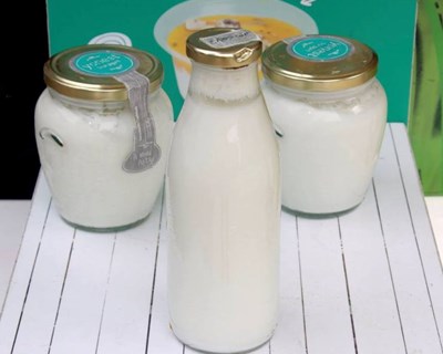 Empresa nacional lança iogurte grego sem lactose