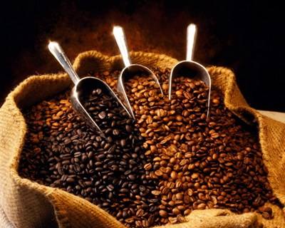 Produção mundial de Café em Risco de Escassez