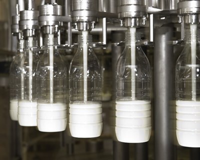 Produção mundial de leite continua a aumentar: pressão sobre os preços subsiste