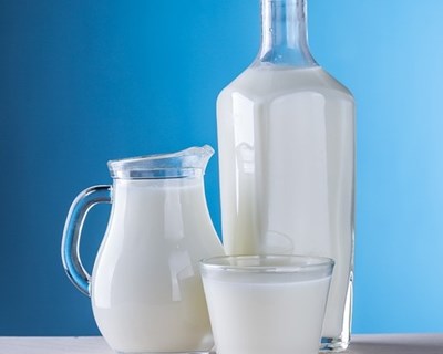 Produção mundial de leite continua a subir