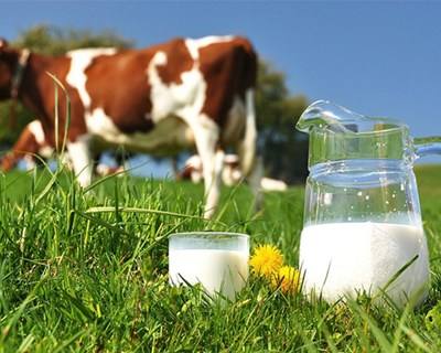 Produção mundial de leite em outubro alcançou o valor mais baixo em três anos