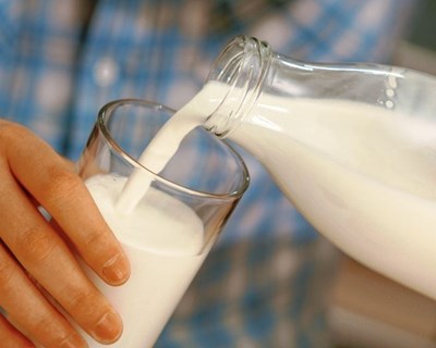 Produtores exigem aumento do preço do leite à Lactogal