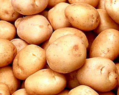 Produtos Minimamente Processados: estudo de alternativas ao uso de sulfitos nas batatas