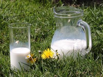 Projeto de produção de leite sustentável entre os vencedores dos Green Projects Awards