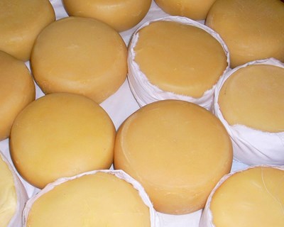 PRORURAL+: Novo apoio de reforço da capacidade de frio e de cura de queijos