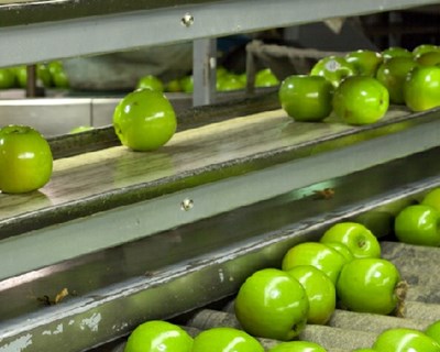 Publicado o Decreto Lei sobre práticas comerciais desleais nas relações entre empresas na cadeia de abastecimento agrícola e alimentar