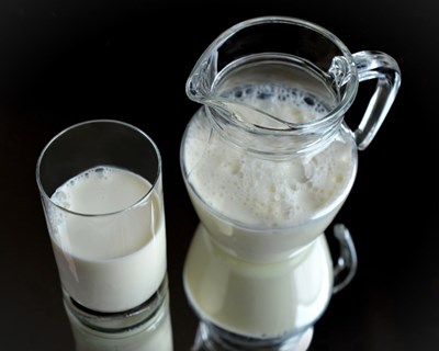 Queda dos preços do leite na UE