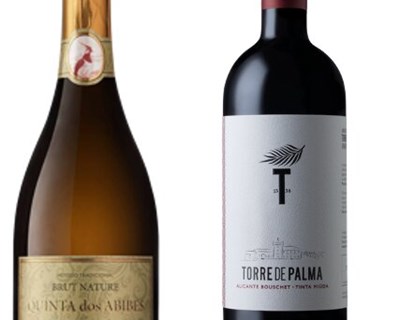 Quinta dos Abibes e Torre de Palma conquistam prémios máximos no 3º Concurso de Vinhos Escanções de Portugal
