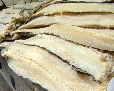 Quota de pesca do bacalhau no mar de Barents pode diminuir em 2018