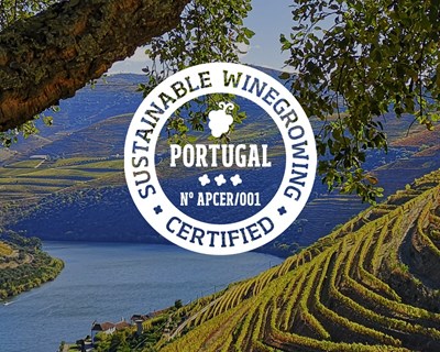 Real Companhia Velha certificada pelo Sustainable Winegrowing Portugal