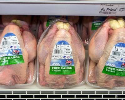 Reino Unido: mais de 70% da carne de frango contém Campylobacter
