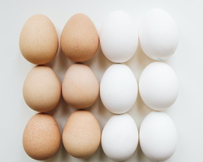 Resíduos de antibióticos em ovos e resistência a antimicrobianos