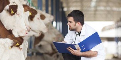 Resíduos de medicamentos veterinários em animais e alimentos: Conformidade com níveis de segurança ainda altos
