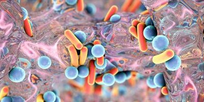 Resistência antimicrobiana na UE: Infecções por bactérias de origem alimentar tornam-se mais difíceis de tratar