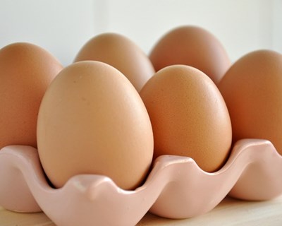 Riscos e benefícios do consumo de ovos