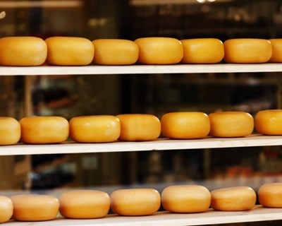 Rússia combate sanções com produção de queijo