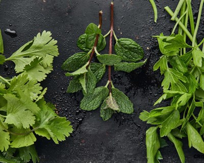 Serão as ervas aromáticas a solução para o consumo excessivo de sal?