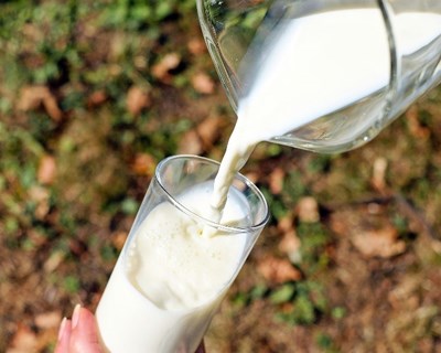 Setor leiteiro apela a prevenção de futuras crises na Europa