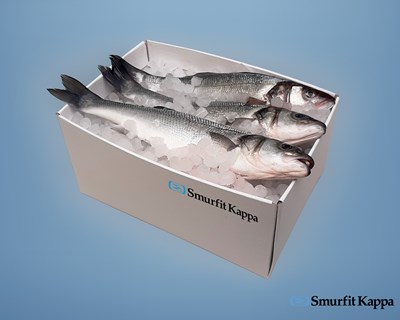 Smurfit Kappa AquaStop: o novo papel de embalagem totalmente reciclável e impermeável