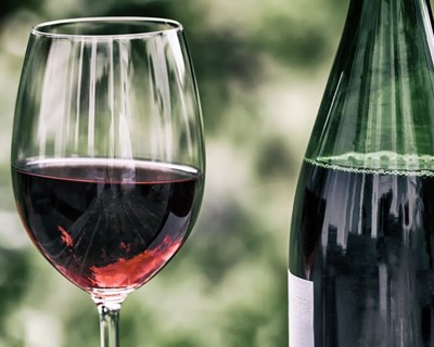 Sogrape apoia divulgação de conhecimento científico sobre a vinha e o vinho
