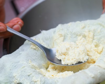 Soro do queijo pode ser usado para fabricar bebidas fermentadas