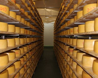 Tetra Pak abre centro de produção de queijo na Polónia
