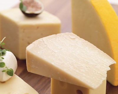 Tetra Pak lança a sua primeira linha completa de produção de queijos brancos