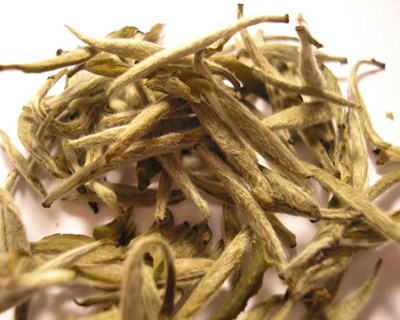 Trinta e um quilos de chá branco dos Açores renderam cerca de três mil euros no mercado