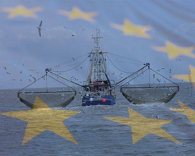 UE propõe diminuição moderada das possibilidades de pesca de profundidade para proteger espécies vulneráveis