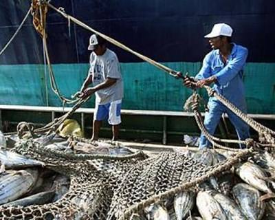 UE repreende Tailândia devido a Pesca Ilegal