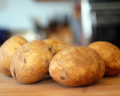 U. de Aveiro desenvolve embalagem alimentar a partir da batata