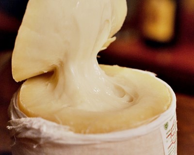 Utilização da urtiga como coagulante na confeção de queijo
