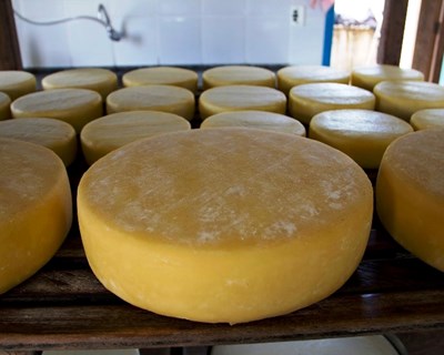 Valorização do soro de queijaria: novas soluções