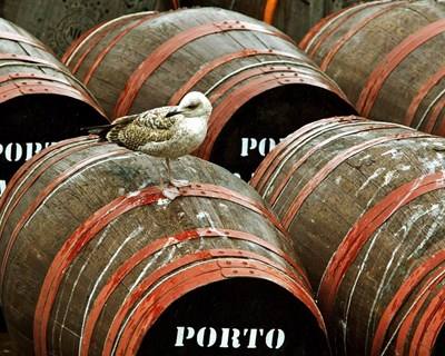Vendas de vinho do Porto para o Brasil caíram 29% até setembro
