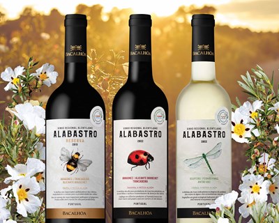 Vinhos Alabastro conquistam Certificação de Produção Sustentável e relançam imagem