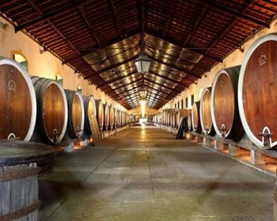 Vinhos de Lisboa esperam atingir 30 milhões de garrafas certificadas em 2015