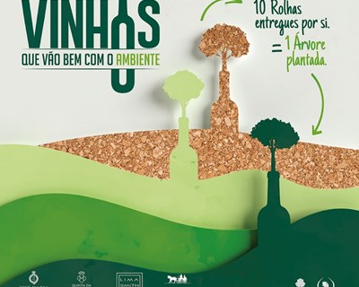 "Vinhos que vão bem com o ambiente": produtores de vinho promovem a plantação de mais de 3.800 árvores