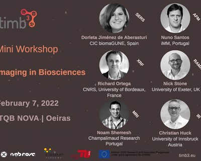 Workshop “Imaging in Biosciences” decorre a 7 de fevereiro em Oeiras