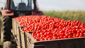 Novo recorde: comércio agroalimentar da UE com 36,5 mil milhões de euros em outubrodo Ano 2023