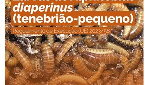 Autorização do novo alimento: formas congelada, em pasta, desidratada e em pó de larvas de Alphitobius diaperinus