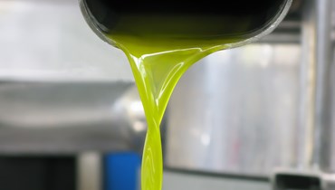 ASAE apreende 73 mil litros de azeite falsificado