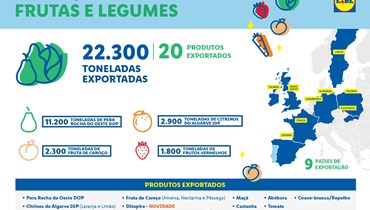 Em 2023, Lidl ajudou a exportar 22,3 mil toneladas de frutas e legumes nacionais para 9 países europeus