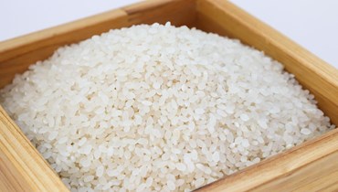 Itália, Portugal, França juntos para promover o arroz Japonica europeu