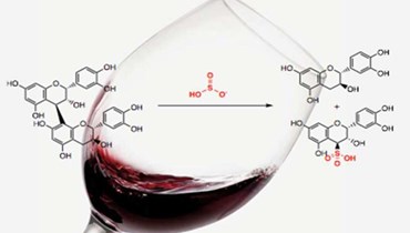 Impressão digital química da vinha e do vinho - História e Arte