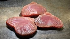 Aumenta volume de atum com selo de pesca sustentável