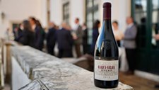 Bolsas Barca-Velha promovem conhecimento no setor do vinho