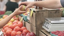 Cadeias curtas de abastecimento alimentar: estudo aponta necessidade de investir na aprendizagem