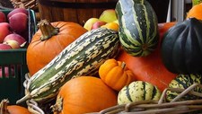 Candidaturas ao EIT Food até 30 de novembro