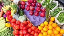 Conferência sobre sistemas alimentares sustentáveis em novembro