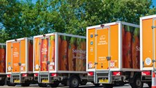 Até 40 % das culturas agrícolas perdem-se no transporte devido a doenças